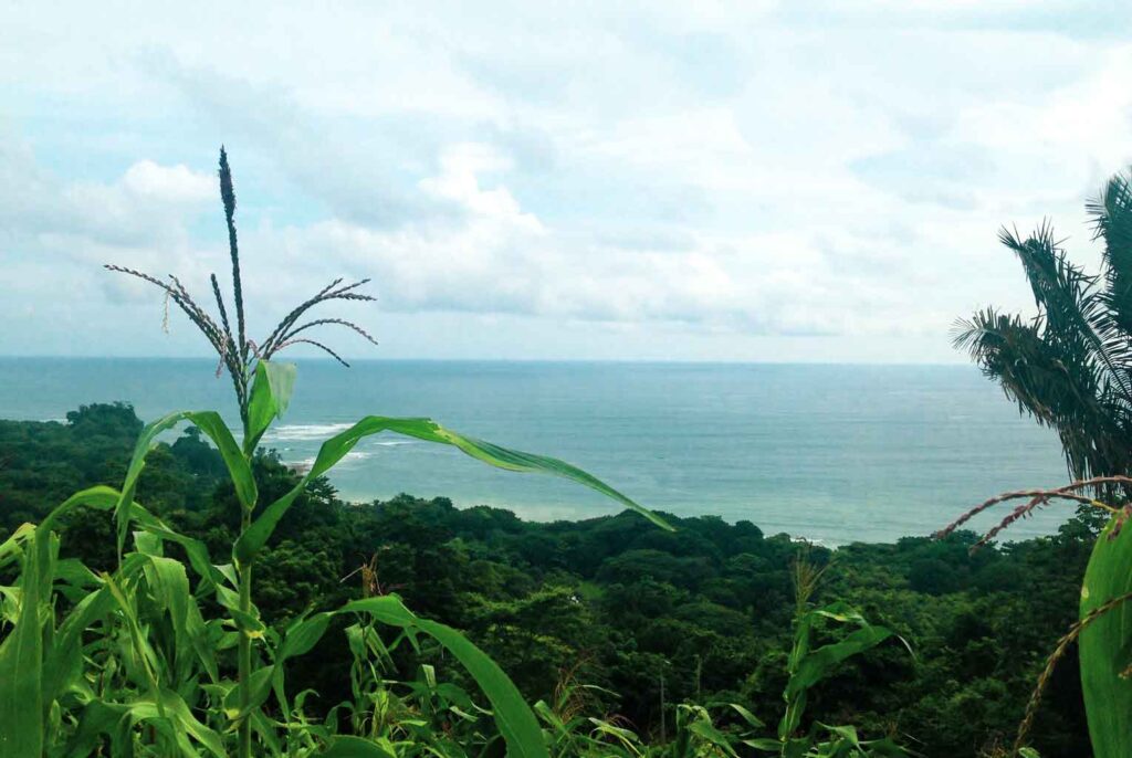 Ocean view real estate in Costa Rica