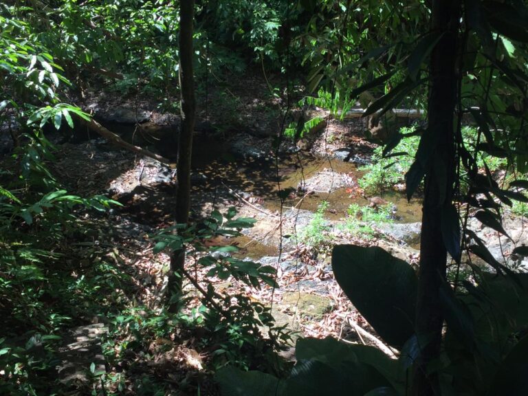 Santa Teresa Costa Rica property for sale with river access