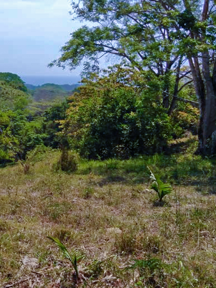 Cabuya Costa Rica Land For Sale